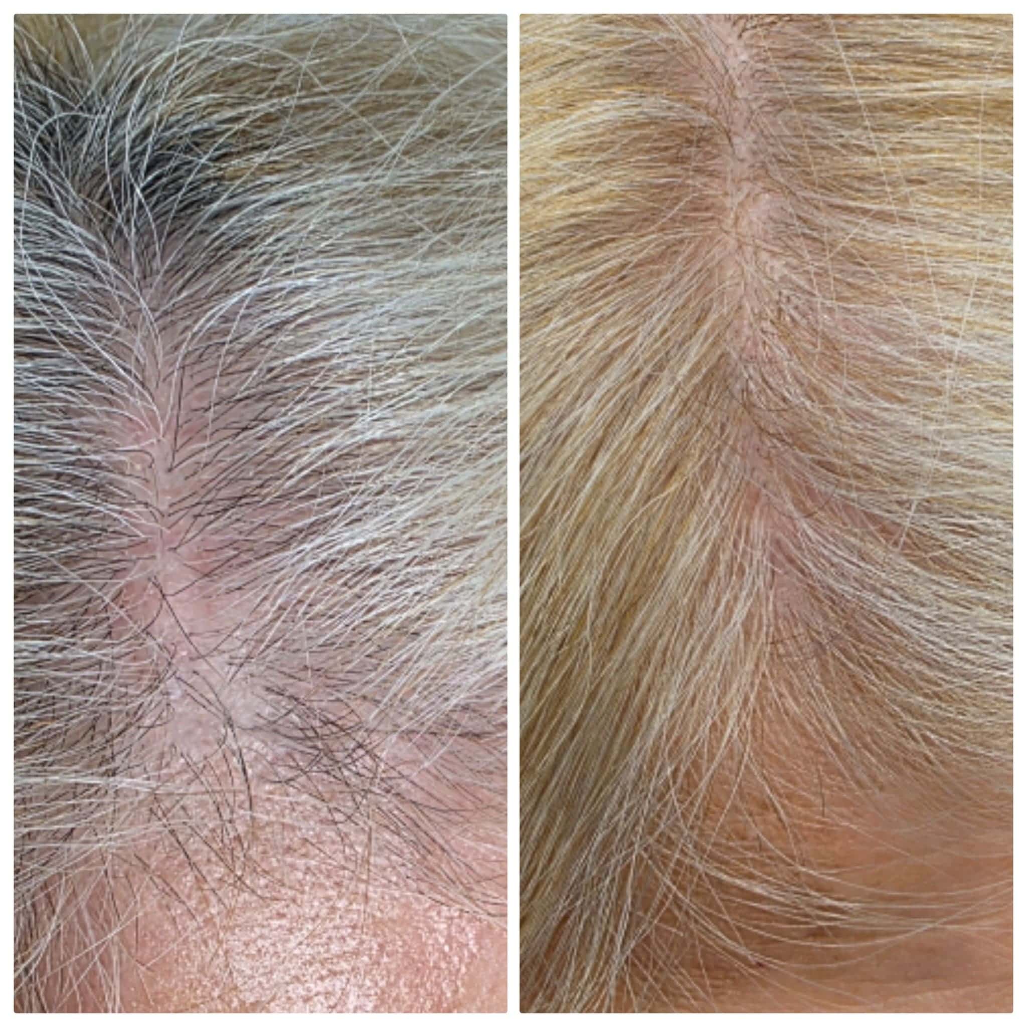 1756650134543-FZvSqjjs