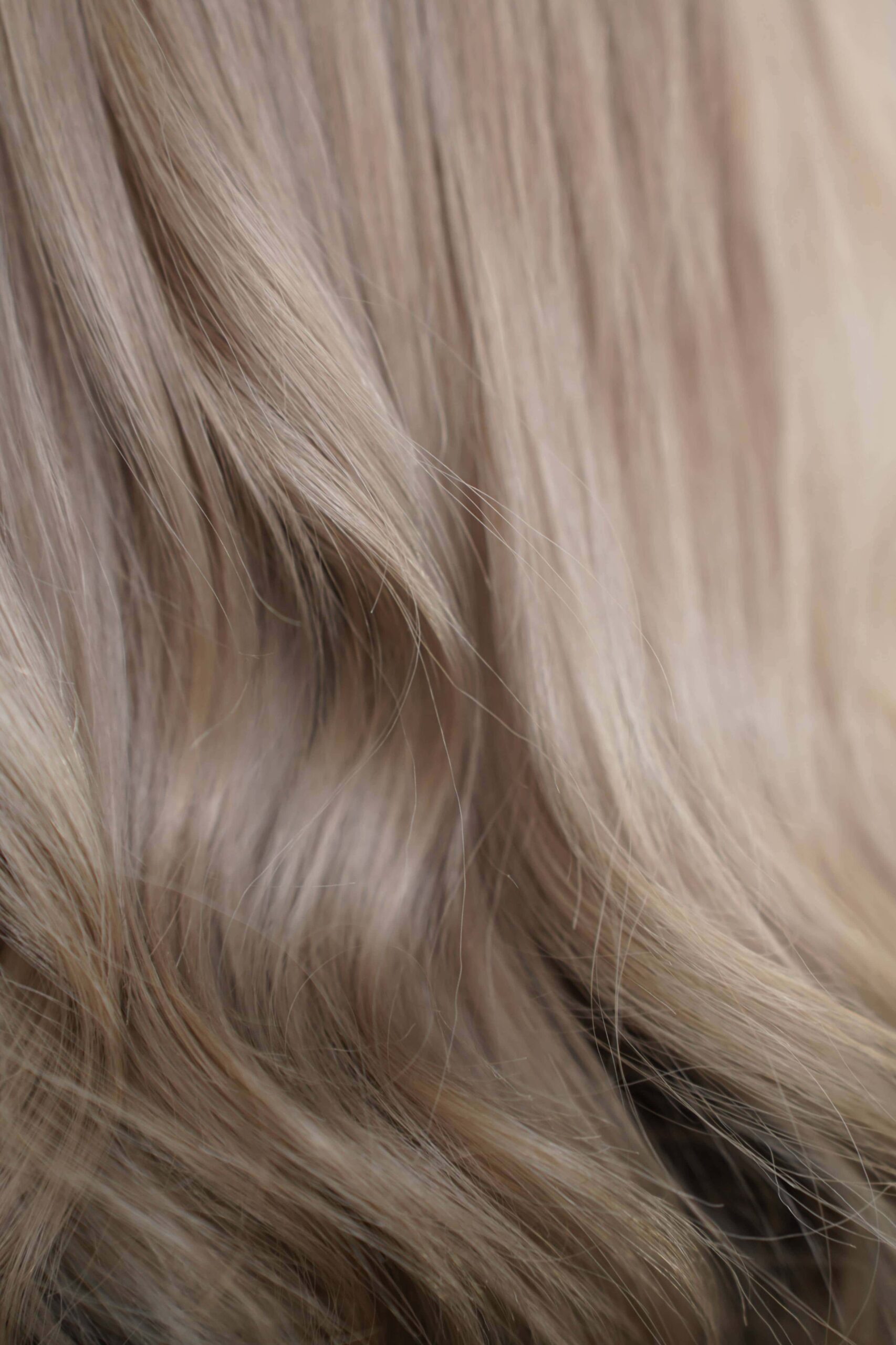 DSC09366_1_-opxSqjjs